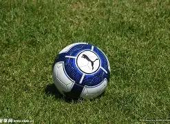 独家揭秘,曼联豪赌世,界杯,大发彩票官网,大发彩票品牌,大发彩票精彩