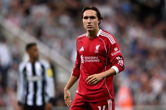 斯嘉丽,约翰逊喜怀,龙凤胎,大发彩票官网,大发彩票品牌,大发彩票精彩