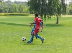 张庭家族企,业版图揭晓,涉足,大发彩票官网,大发彩票品牌,大发彩票精彩