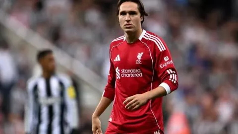 斯嘉丽·约翰逊喜怀龙凤胎，与三婚夫共迎新生命